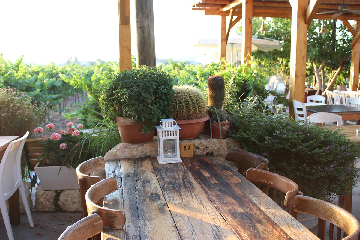 מבשלת פפו-נבות